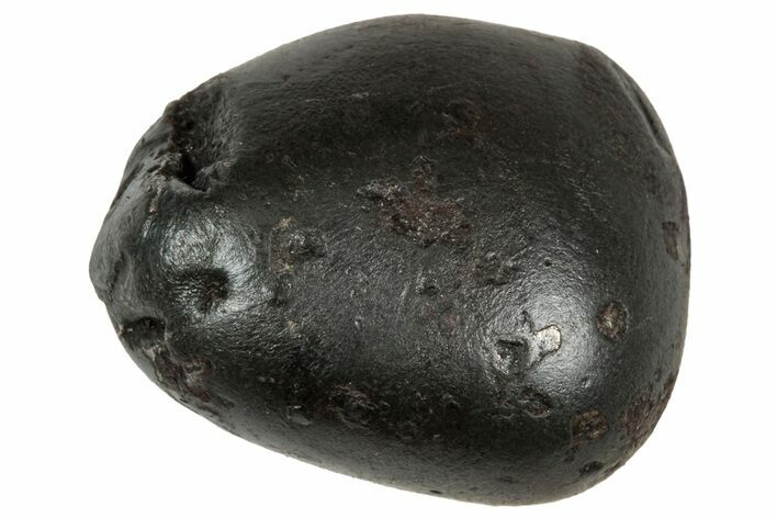 Fusion Crusted Sikhote-Alin Iron Meteorite ( g) - Russia #333122